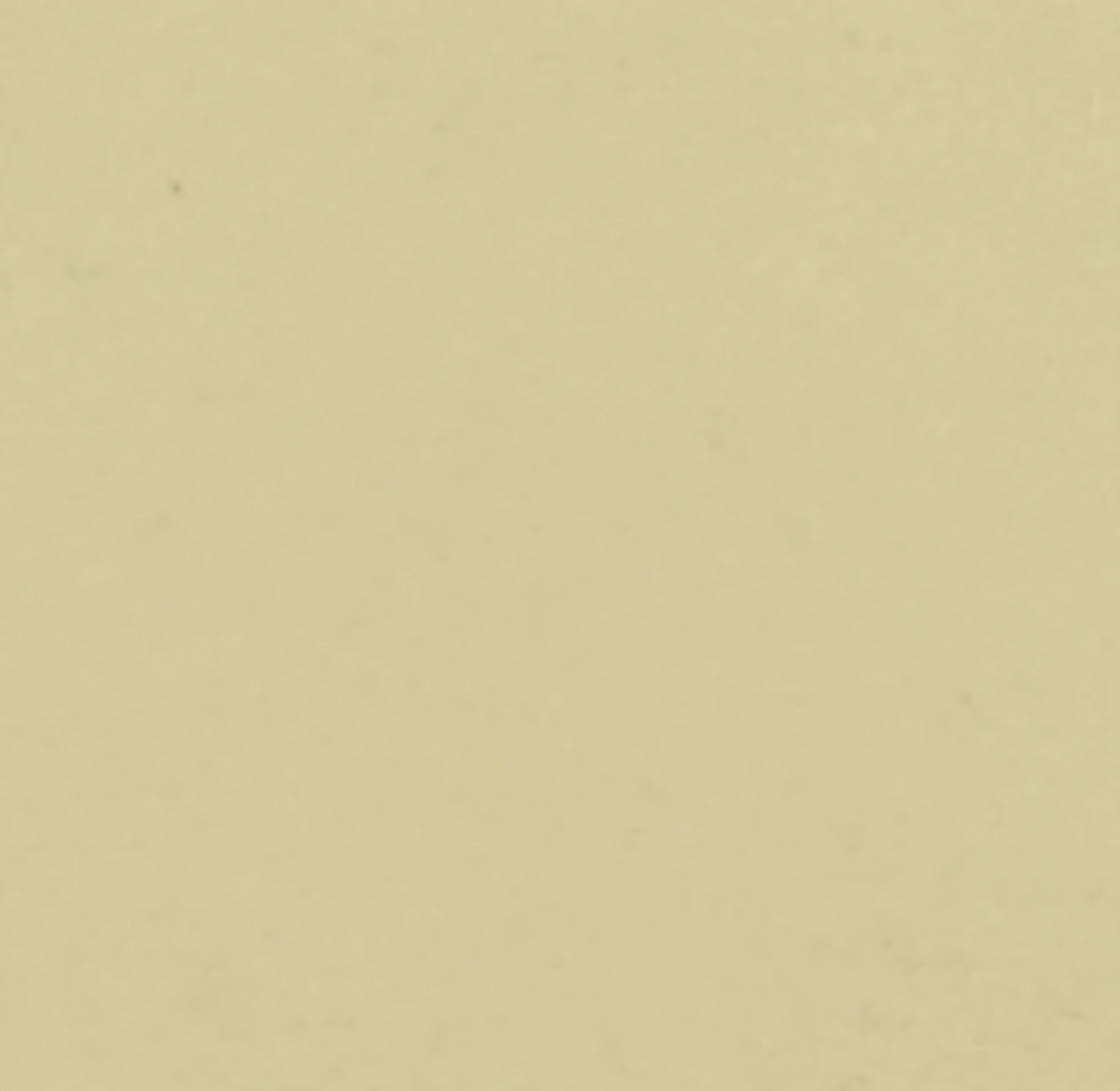 Ivory PM-5023 laminate surface