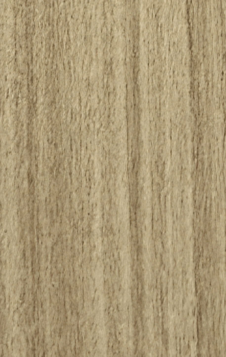 Ivory Oak PM-766 laminate surface